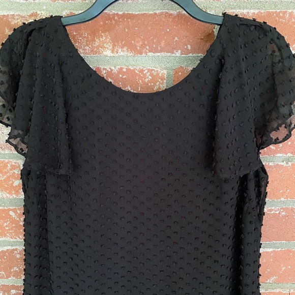 🔥J. Crew Black Dotted Swiss Dress - Picture 3 of 6